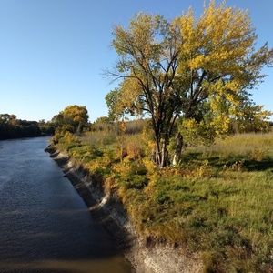 Meet your Posher, Carolyn